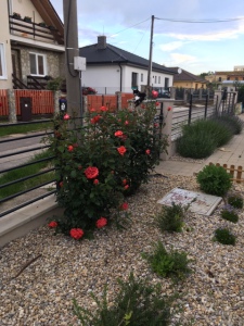 plot 3